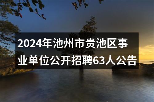 2024年池州市贵池区事业单位公开招聘63人公告 图片