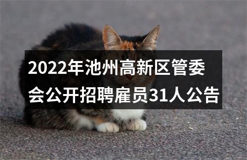 2022年池州高新区管委会公开招聘雇员31人公告 图片