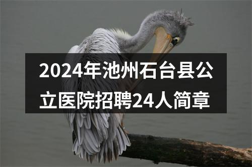 2024年池州石台县公立医院招聘24人简章 图片