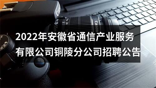 2022年安徽省通信产业服务有限公司铜陵分公司招聘公告 图片